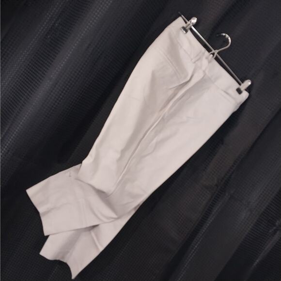 ANN TAYLOR FACTORY! PALEST GRAY CROPPED, RELAXED NOTCHED ANKLE PANTS! SZ 10P - Picture 1 of 10